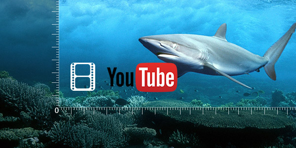 Wie Sie die beste YouTube Video Größe erstellen